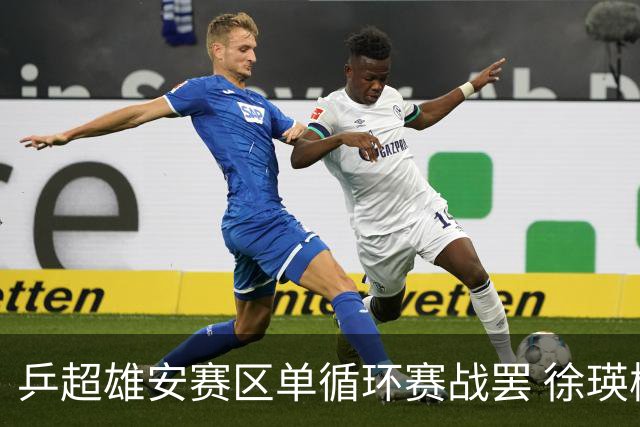 乒超雄安赛区单循环赛战罢 徐瑛彬蒯曼一度因伤弃权