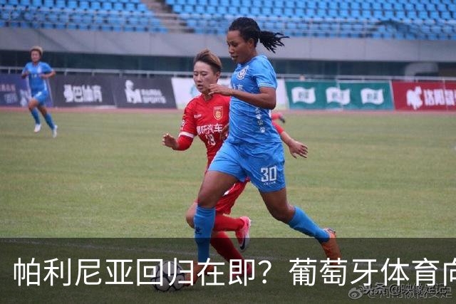 帕利尼亚回归在即？葡萄牙体育向其许诺队长袖标的背后故事
