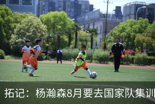 拓记：杨瀚森8月要去国家队集训 可经纪公司和球队都希望他留美国