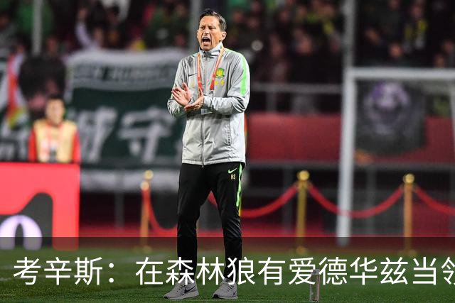 考辛斯：在森林狼有爱德华兹当领袖 三球能得到成长并且更成熟