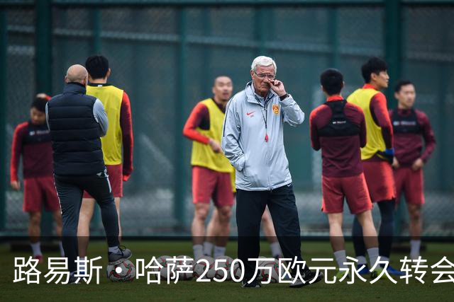 路易斯·哈萨250万欧元永久转会弗罗西诺内